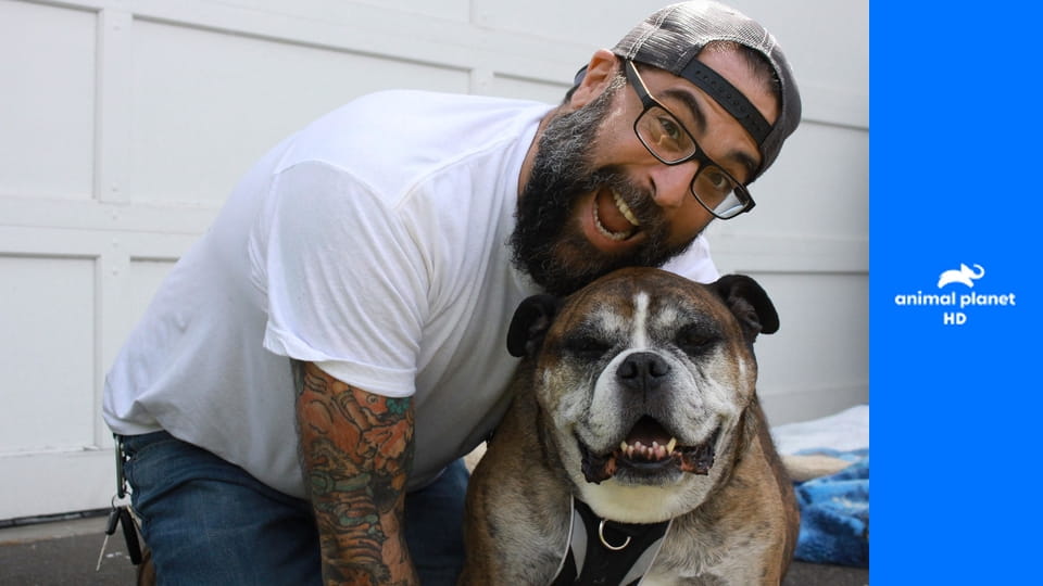 Дома для животных S1E7 - Улетный дворец для попугаев