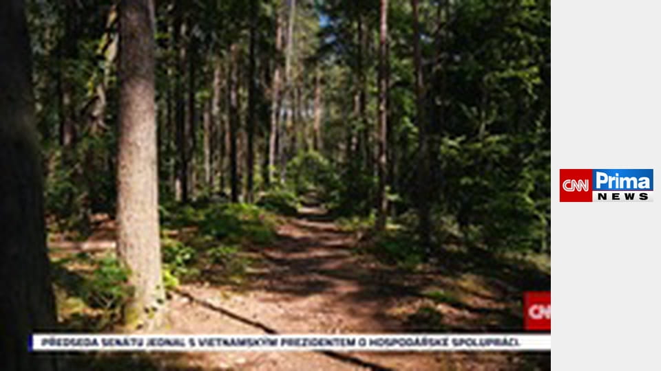 Estetika bez cenzury