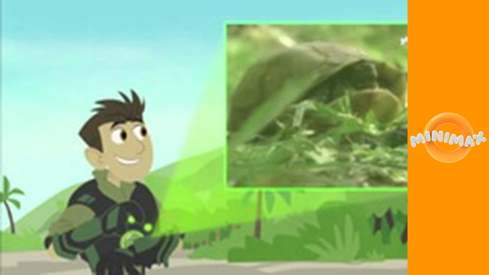 Poznáváme přírodu S2E15 - Zlepšení Tortugy