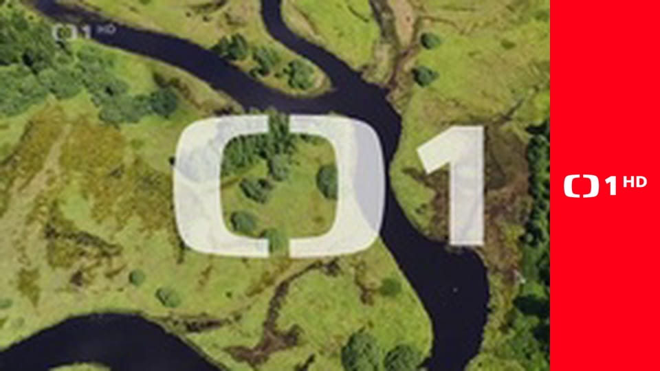 Dalgliesh - Plány a touhy – 2. část