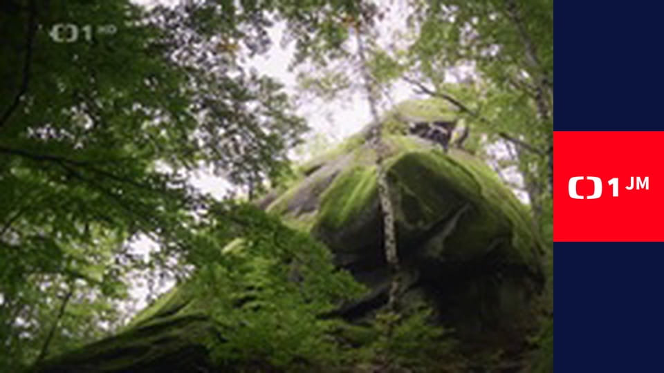 Zpátky do přírody - Jizerské hory