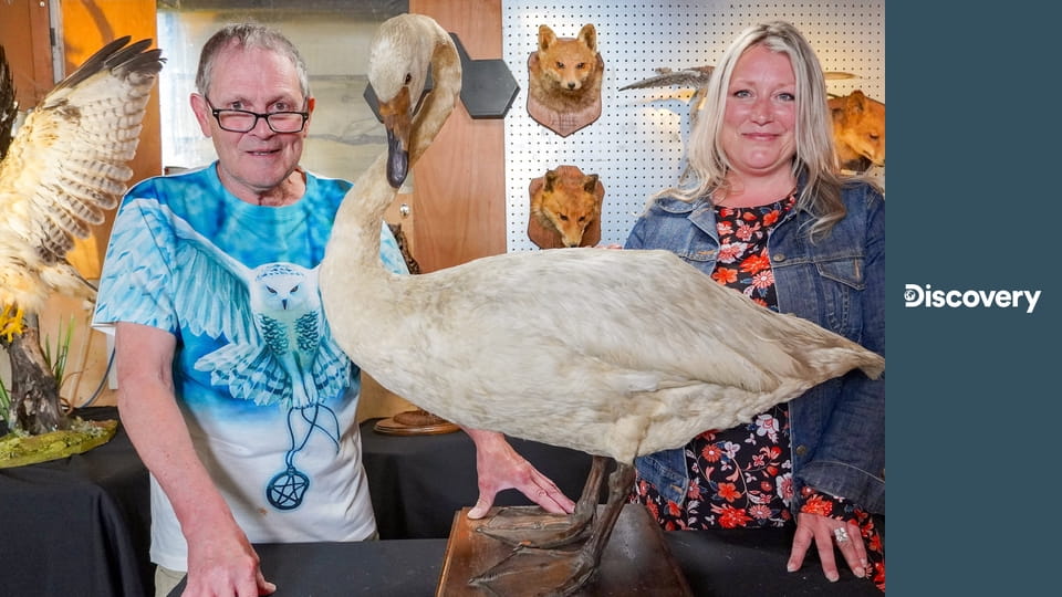 Реставраторы S6E12