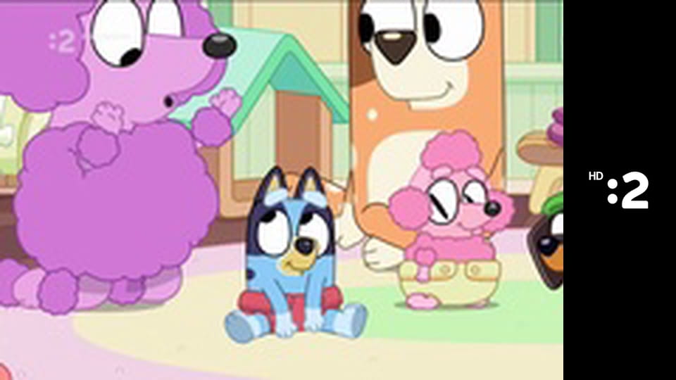 Medvedík Pompon S2E50 - Medvedík motýľom