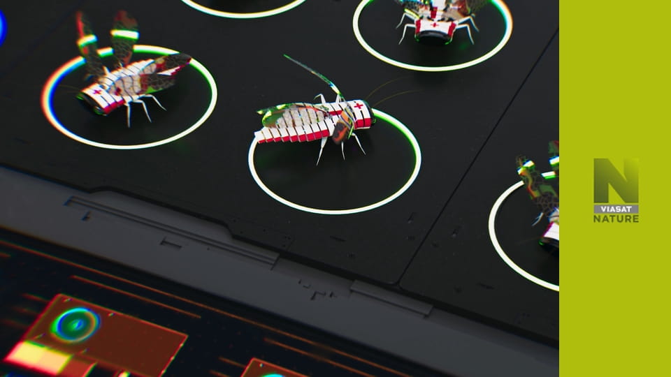 Еволюція S1E3 - Зцілення