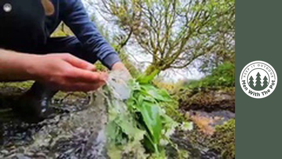 CEL MAI BUN MIC DEJUN LA FOC DE TABĂRĂ: Bagel delicios