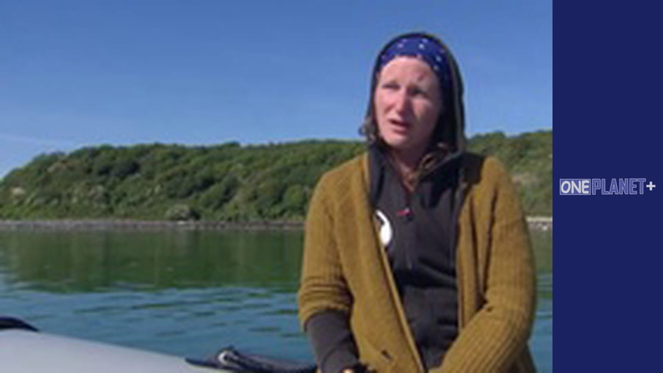 Под открытым небом - Национальные парки. - cерия 3