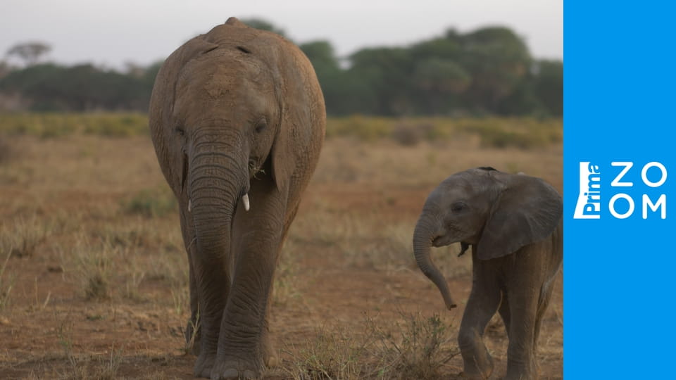 Po stopách deště E3 - Konec období sucha