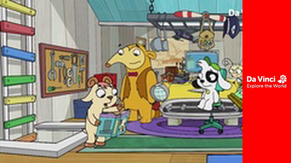 Doki - The Rare Bird