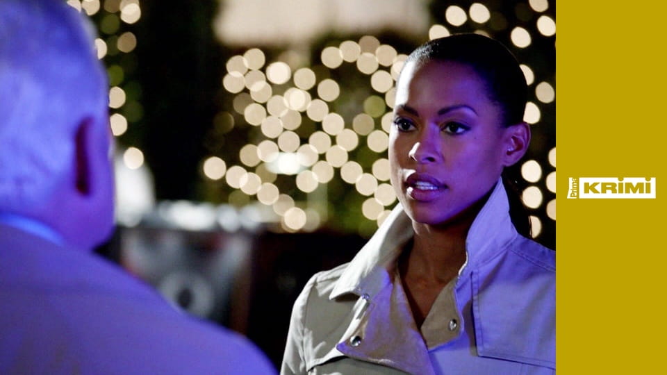 Closer: Nové případy S5E11 - Masakr u soudu