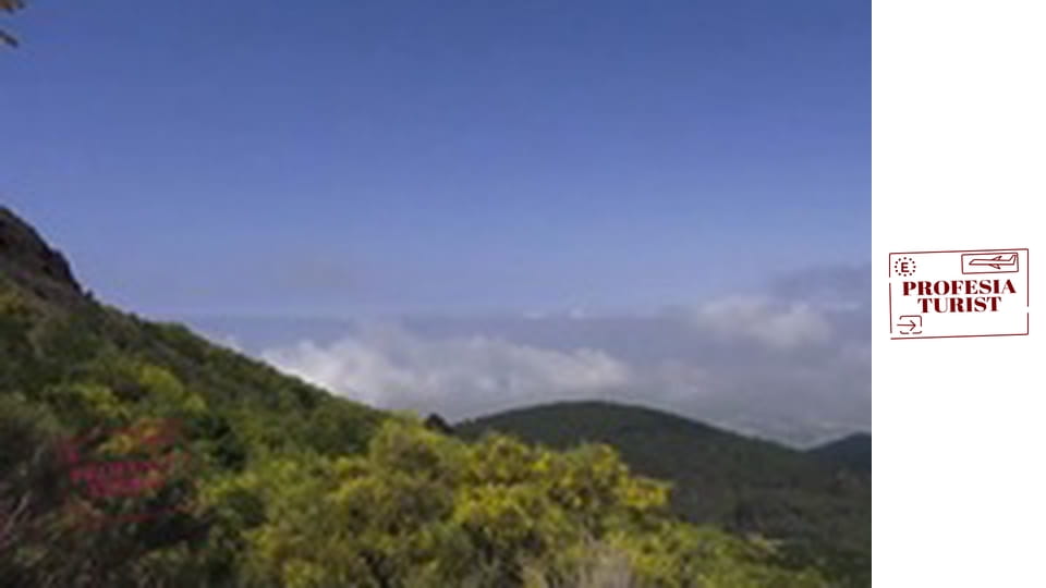 В кратера на вулкана Везувий - готов ли е да изригне?