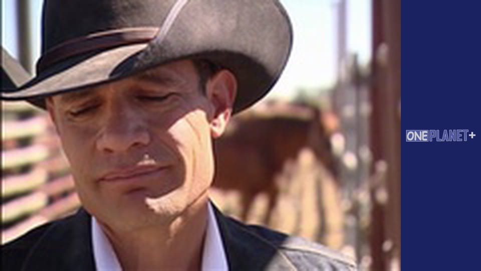 Just in the sky - National Parks. - episode 4