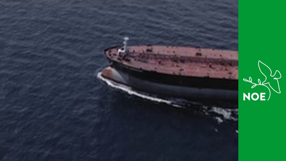 Generální audience papeže Lva XIV.