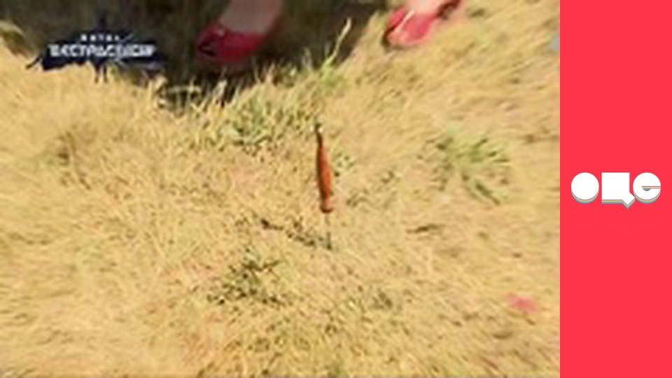 Битва екстрасенсів, 19 сезон, 1 еп.