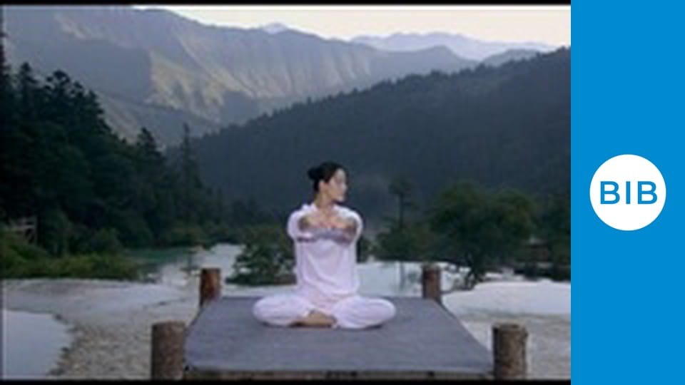 Shaolin Temple Europe