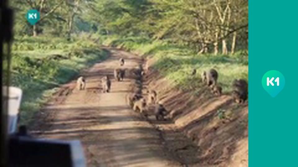 "Світ_огляд с Машей Себовой".