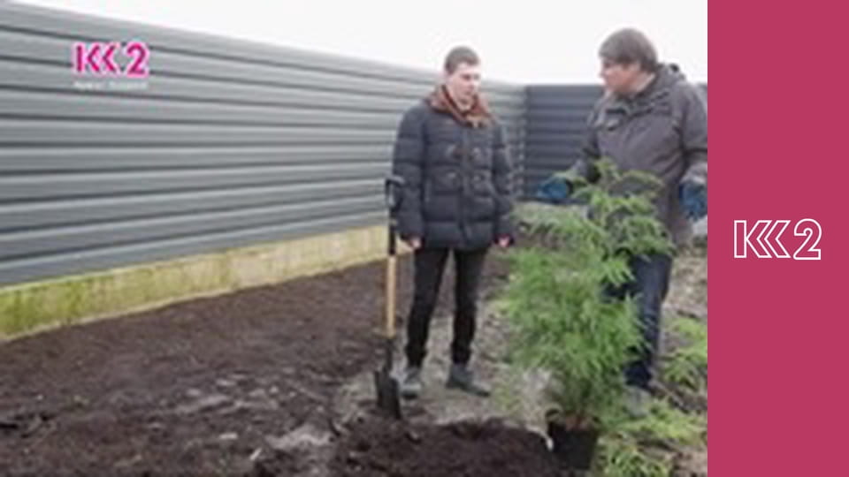 Удачний проект S1E28