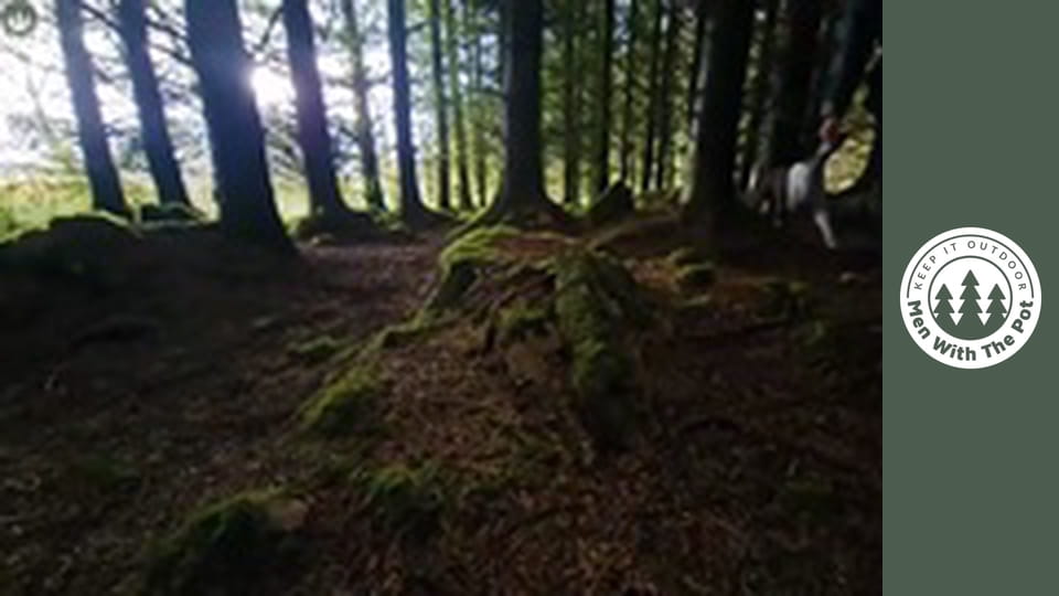 Сьомга, приготвена и опушена на огън