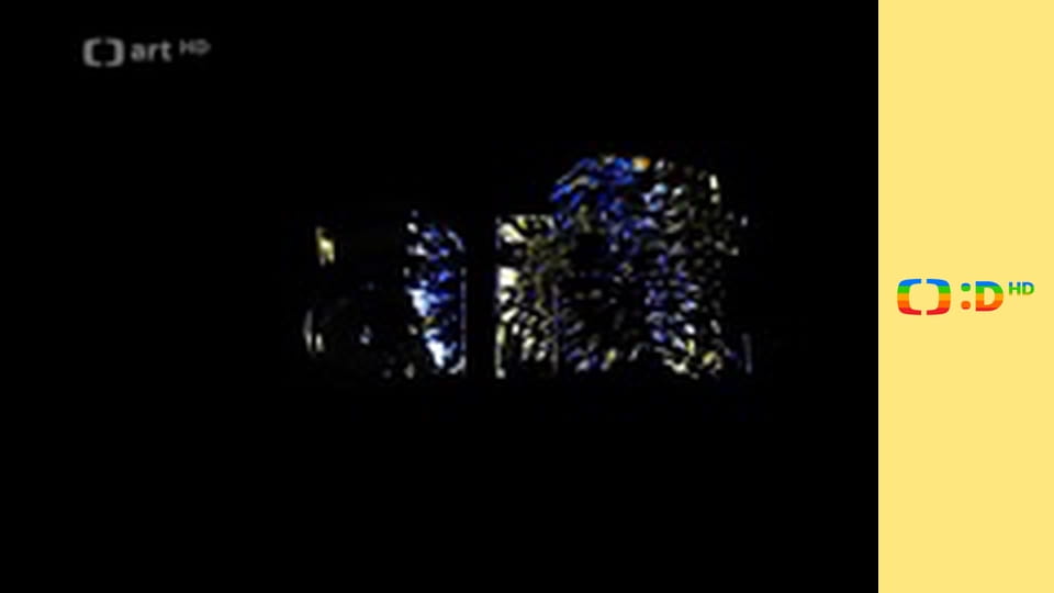 M. Paleček a M. Janík