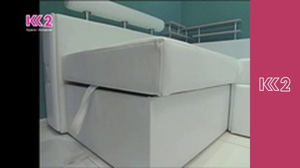 Спеція E14 - Часник