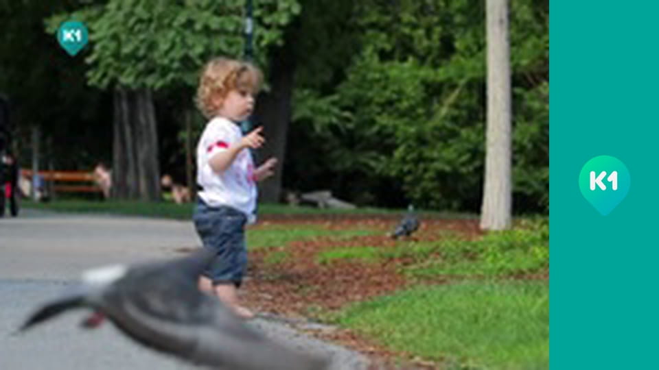 "Інший світ".