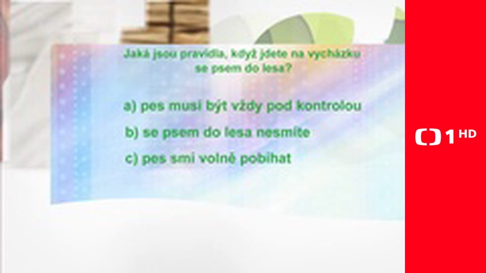 Postřehy odjinud - Káhira očima Štěpána Macháčka – Káhirský psí život