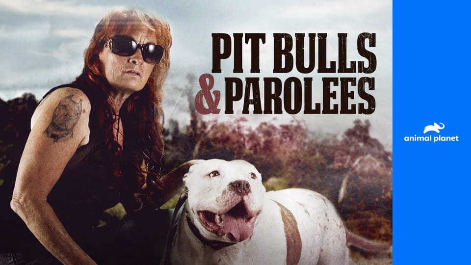 Pitbulové a propuštění trestanci S9E14 - Nejcennější štěně