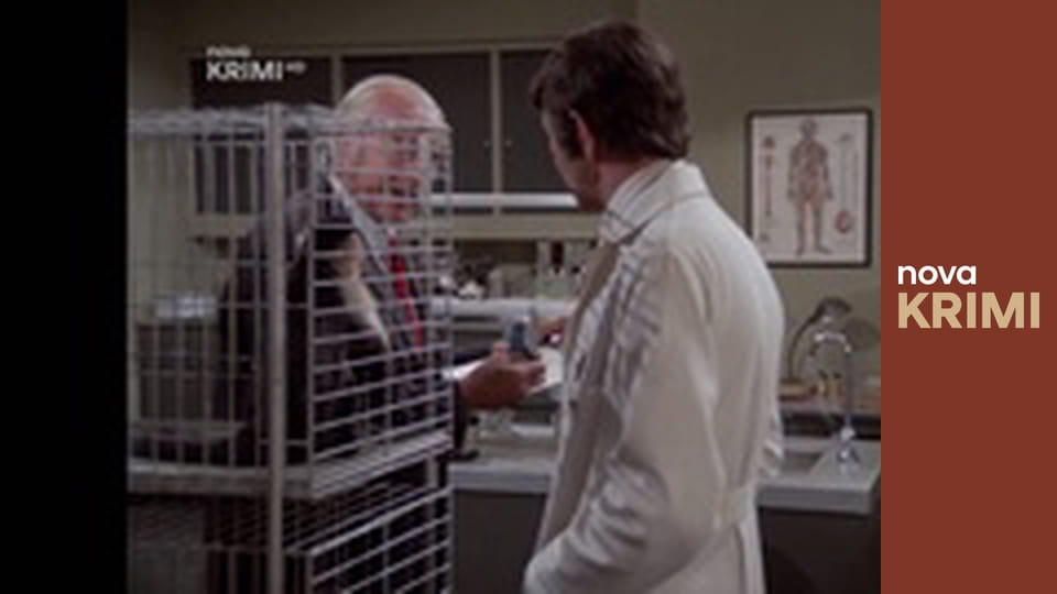 Columbo E15 - Zločinný steh