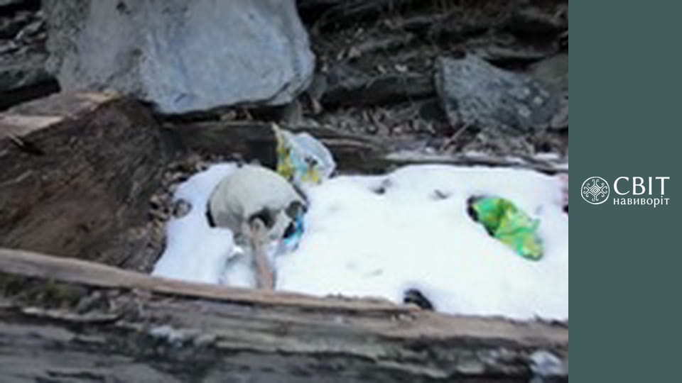 Season 12, Episode 15, Pakistan