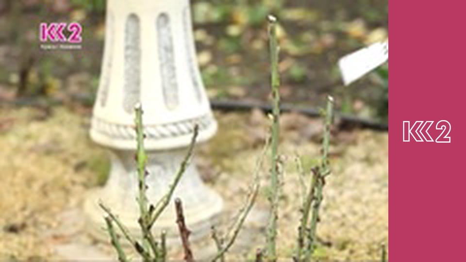 Удачний проект S1E29