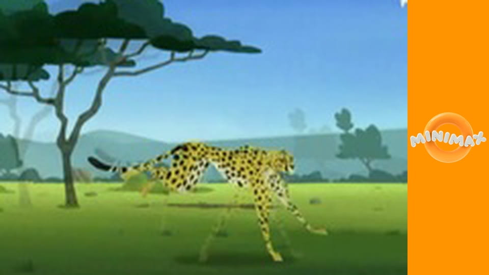 Állati küldetés S1E23 - Gepárd futam