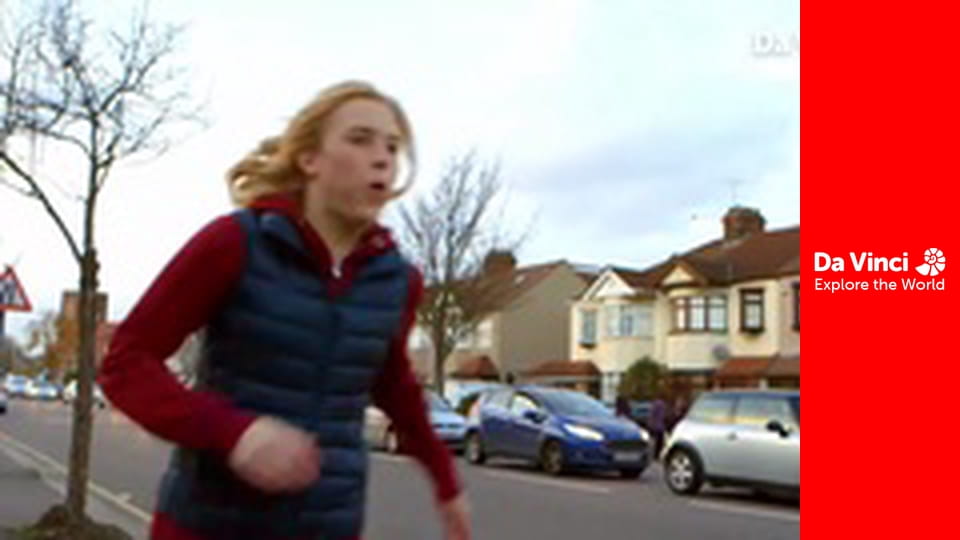 Kto to wie? - Kołowrotek chomika i owadzi hotel