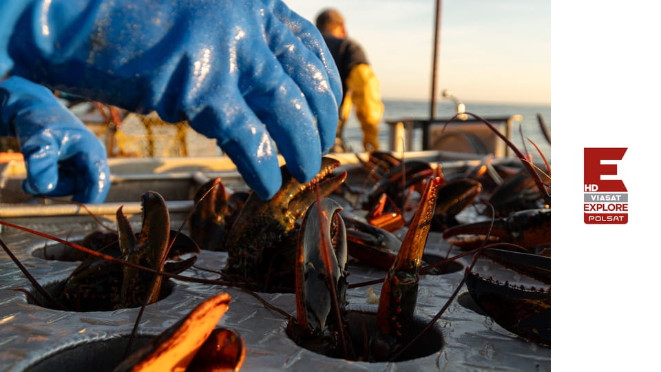 Ostatni kapitanowie S1E2 - Na całość