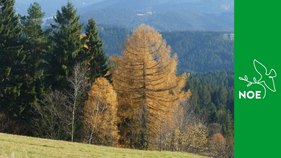 V pohorách po horách - Rovná hoľa – Nízké Tatry