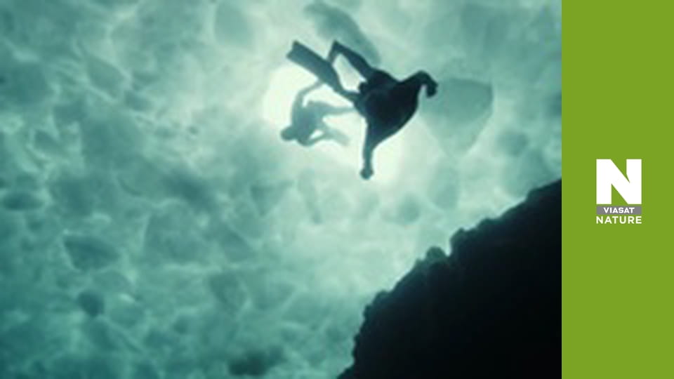 Great Lakes Untamed - The Big Freeze