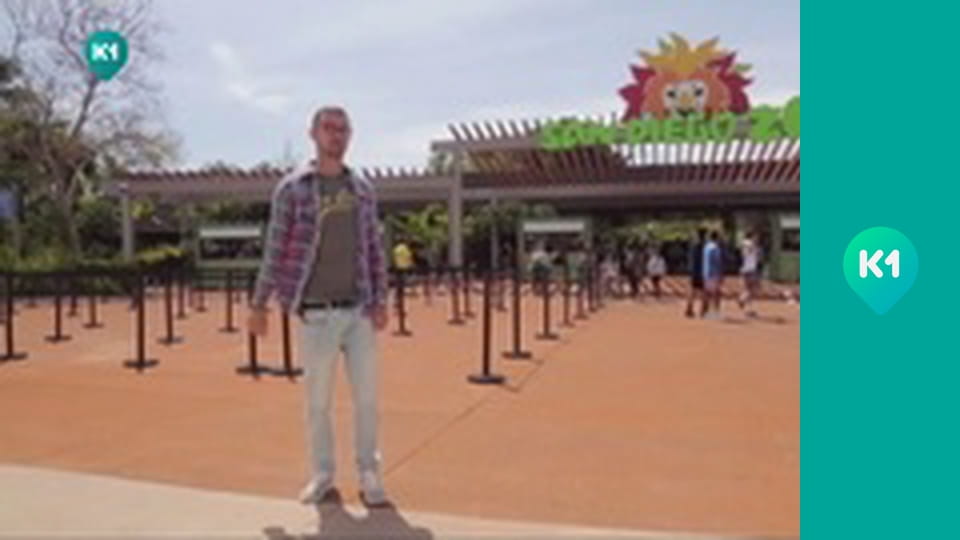 "Орел і Решка. Дайджест".