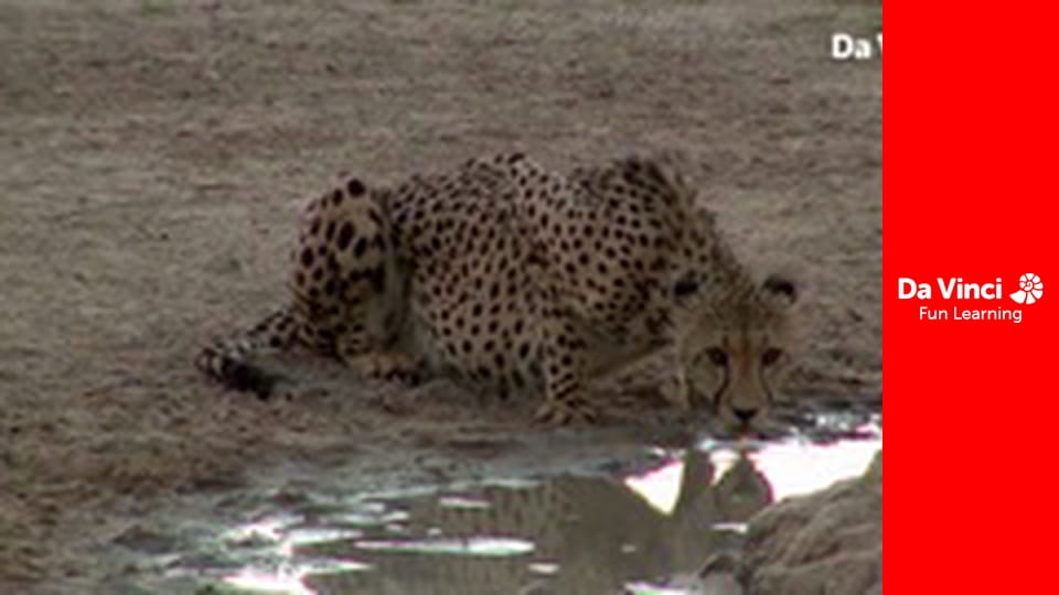 Siyaya. Droga przez Afrykę - Do Krainy Pragnień