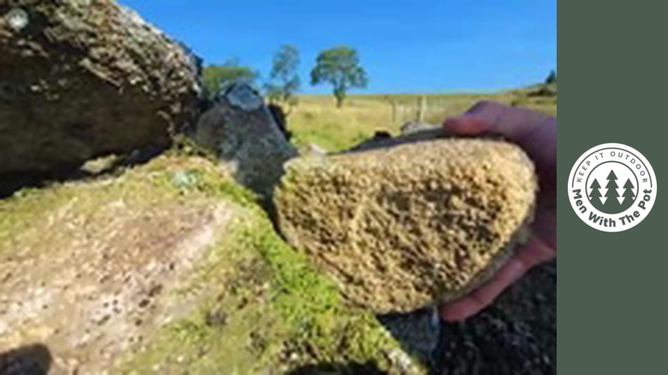 FRIPTURĂ Delicioasă gătită în UNT