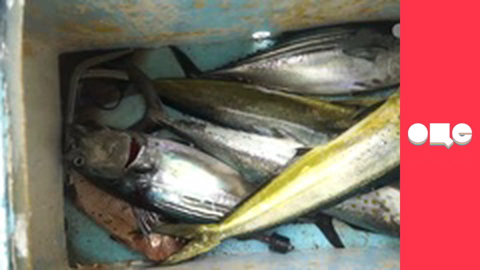 Особливості національної роботи, 4 сезон, 56 еп.