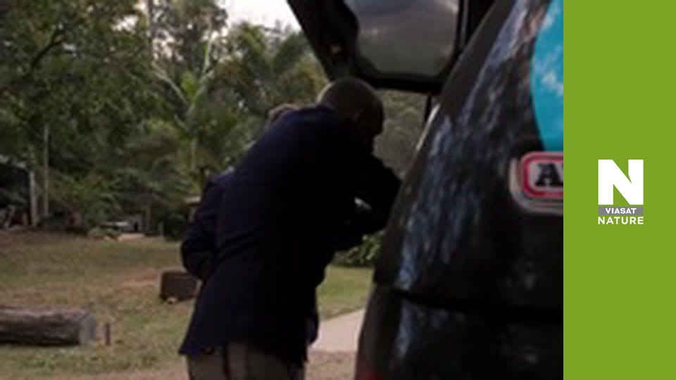 Aussie Snake Wranglers - Red Belly Returns