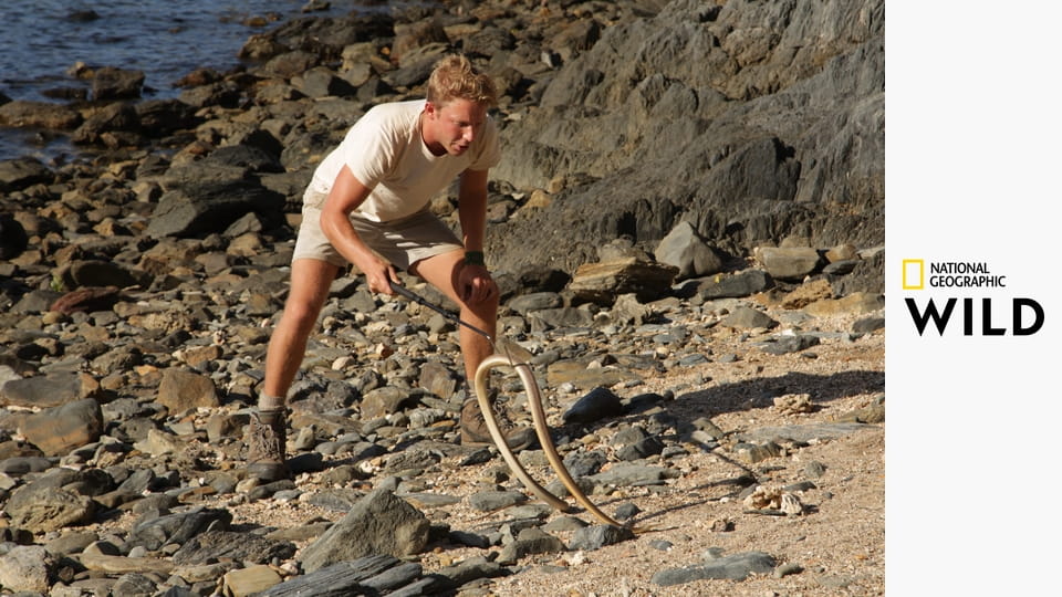 Divočinou s Jackem Randallem S1E5 - Nejjedovatější hadi světa