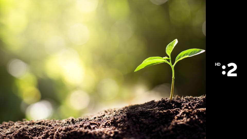 Odvodňovanie pevnín - klimatická zmena