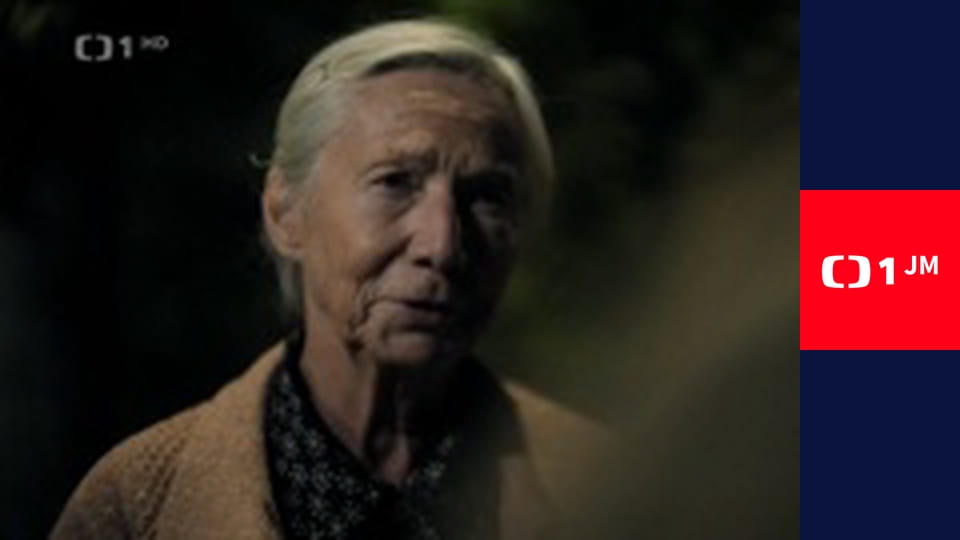 Na silnici jako doma - Vidět dobře