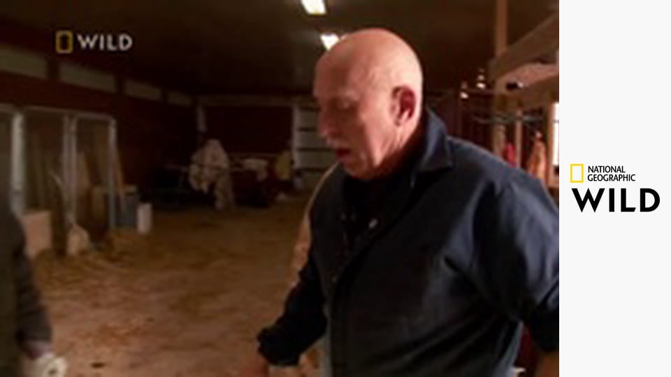 Niezwykły dr Pol S5E11 - Brak rąk do pracy