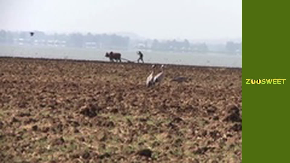 My favorite - episode 3