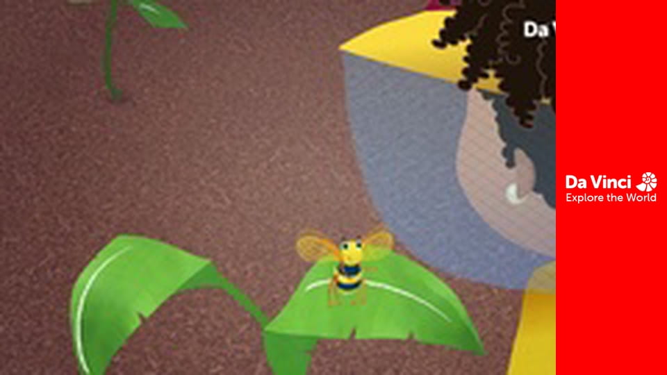 Addison - Niebieskie złoto