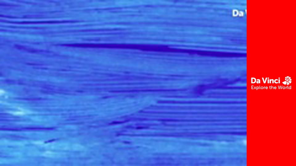 Állatkölykök - Ámbráscetek