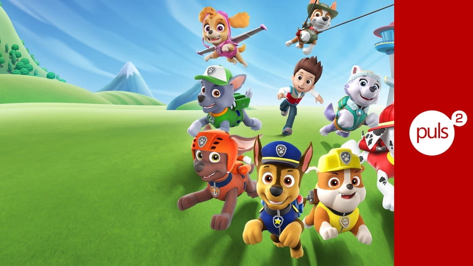 Psi patrol S10E1024 - Pieski ratują uciekającą robo-torebkę! / Pieski ratują wyścigi w buggy