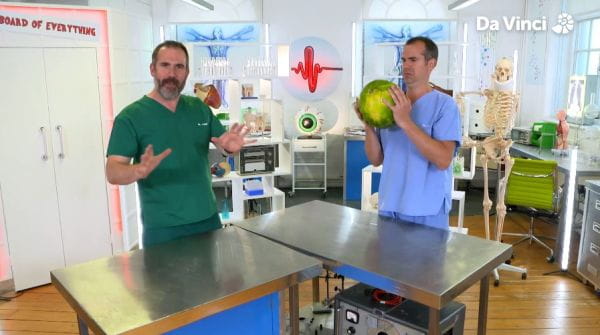 Operation Ouch (2012) - 9 sezóna 3. doktor škorpión
