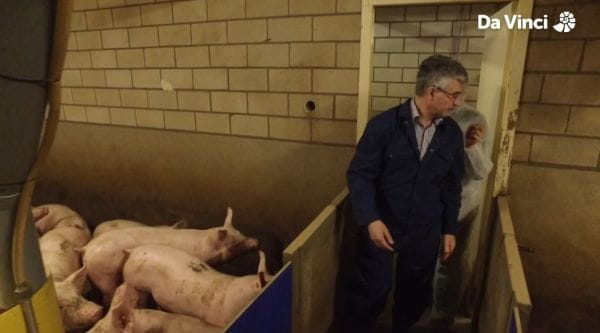 16. Chytrá farma zvířat
