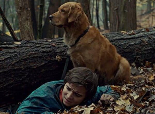 Klinika Hope (2012) - 3 sezóna 13 série